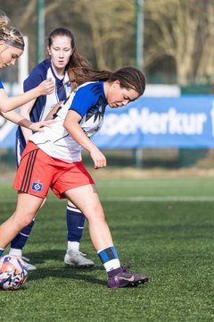 Bild 108 - wBJ Hamburger SV - Hertha BSC : Ergebnis: 2:1